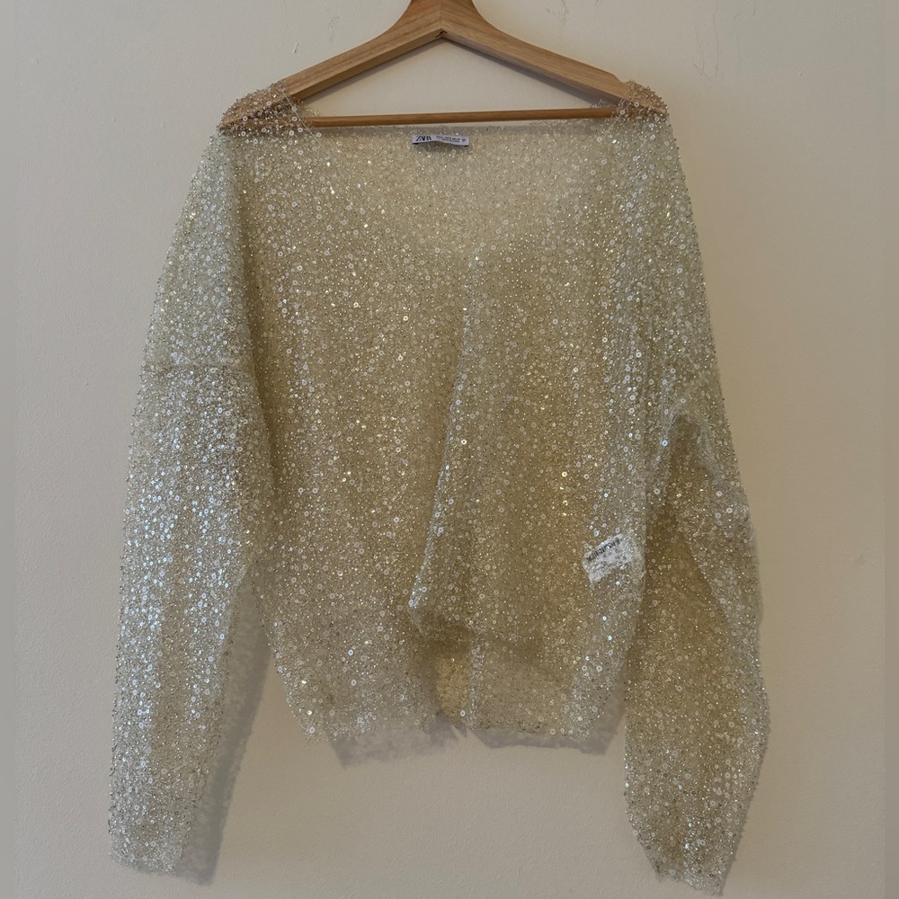 Zara Sheer Sequin Sparkle Top